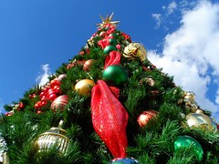 christmas-tree-227014__180